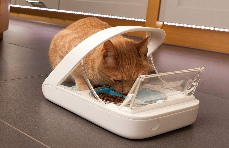 Top food dispensers for cats