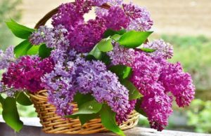 Hidden Facts about Anniversary Flowers That Will Surely Amaze Everyone