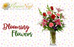 Send Flowers to Bermuda